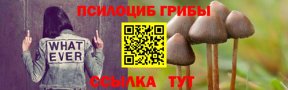 Псилоцибиновые грибы Cubensis  Вход с VPN  Псилоцибиновые грибы Psilocybe  Магнитогорск 
